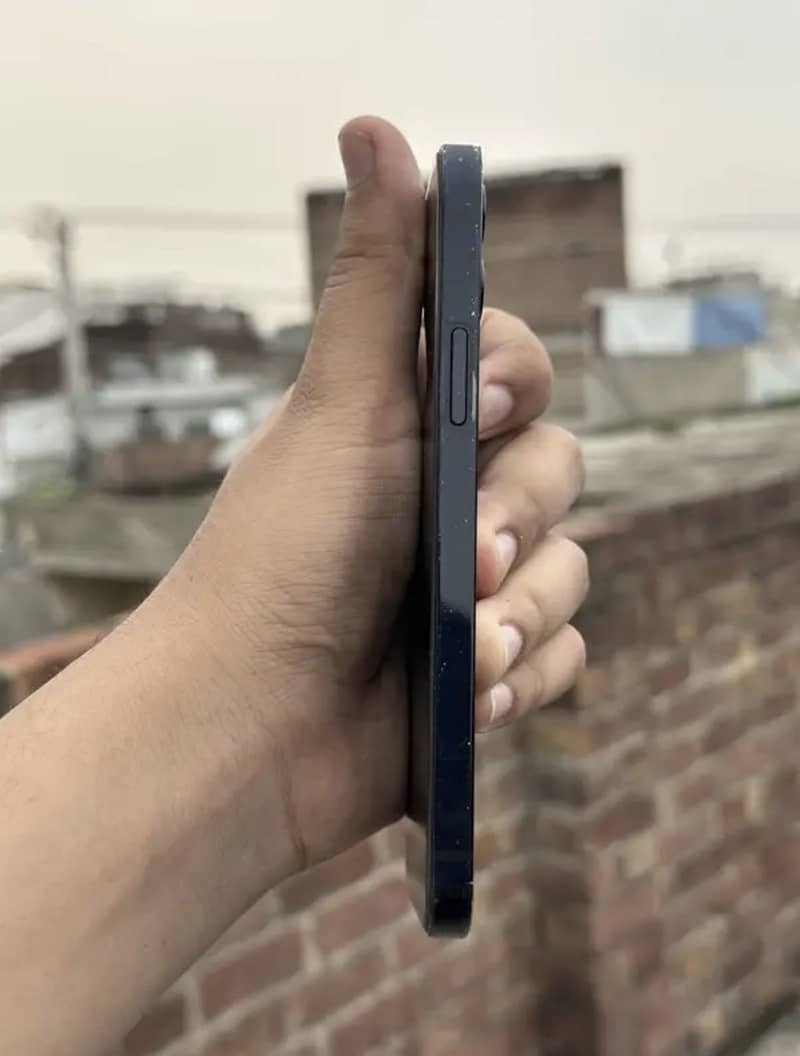 Apple iPhone 12 1
