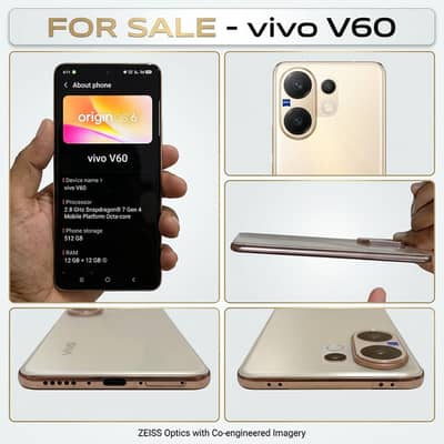 Champaign Color Vivo V60