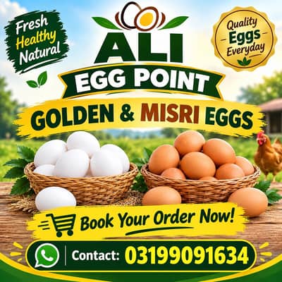 Fresh Farm Eggs Available | Egg Point