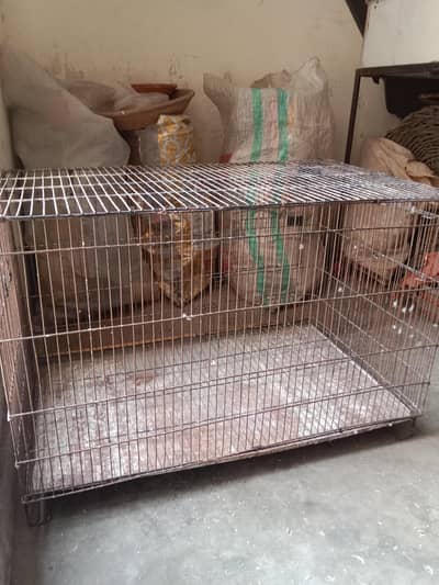 2.5*1.5*1.5 cage for sale . ( Whatsapp number 03330031118 )