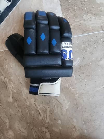 New Batting gloves