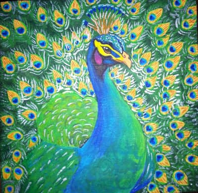 peacock