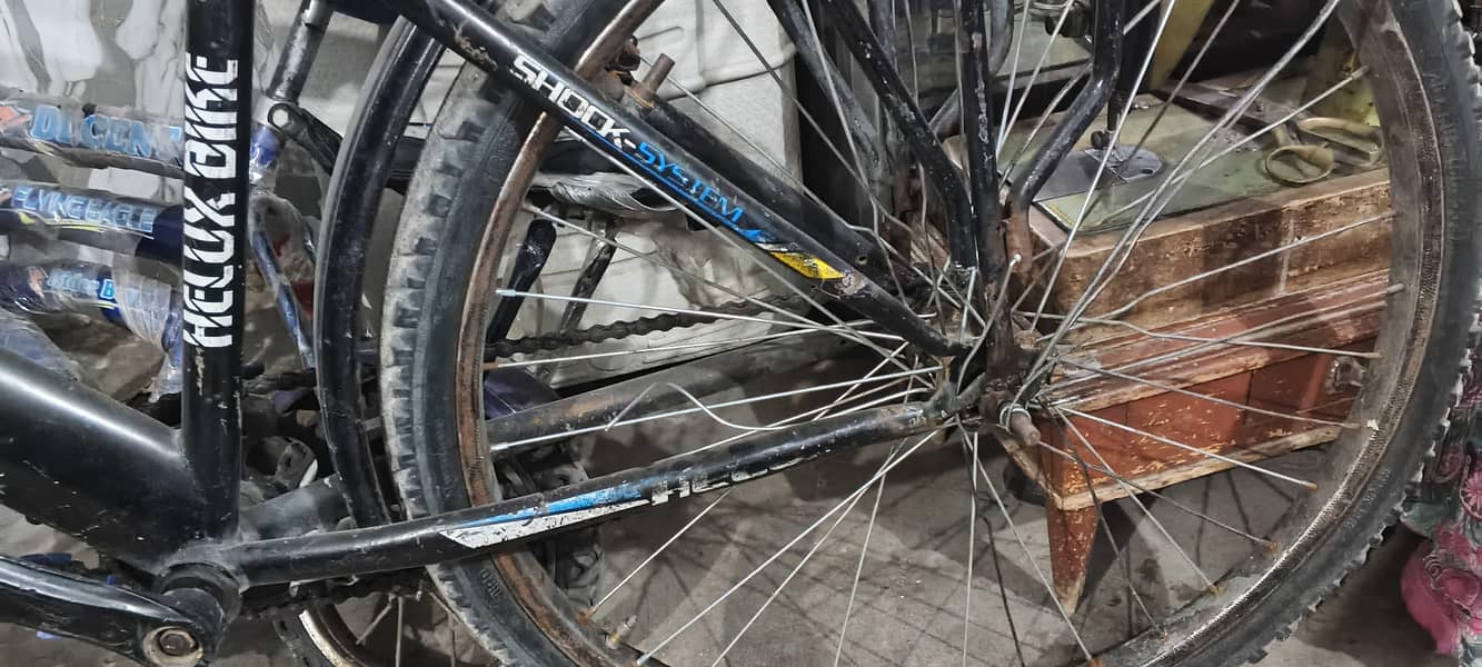 bycycle 1