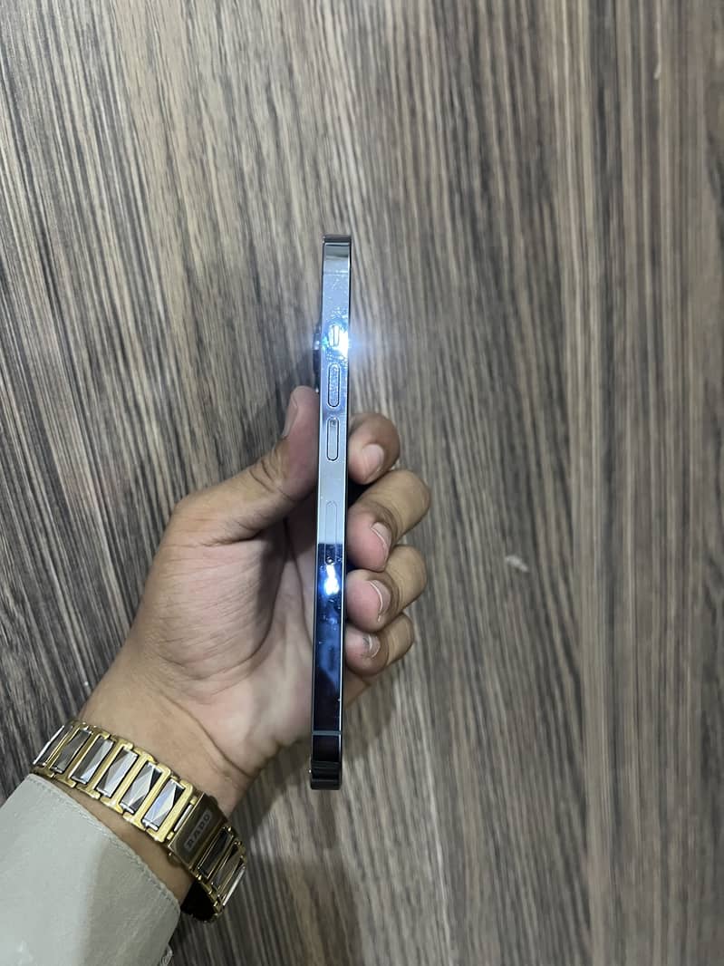 Apple iPhone 13 Pro 1