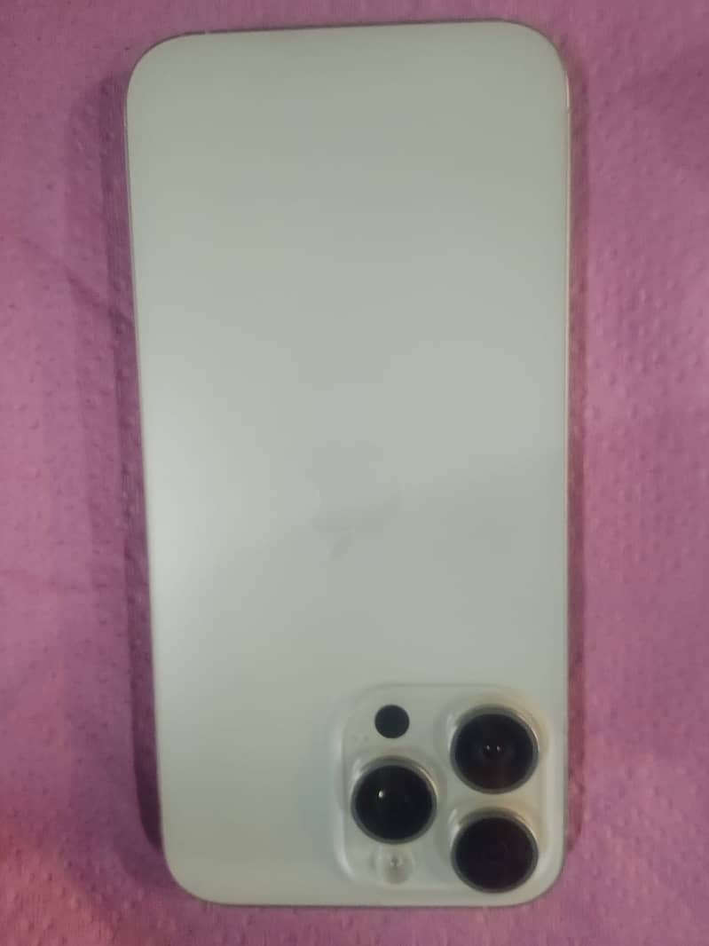 Apple iPhone 15 Pro Max 1