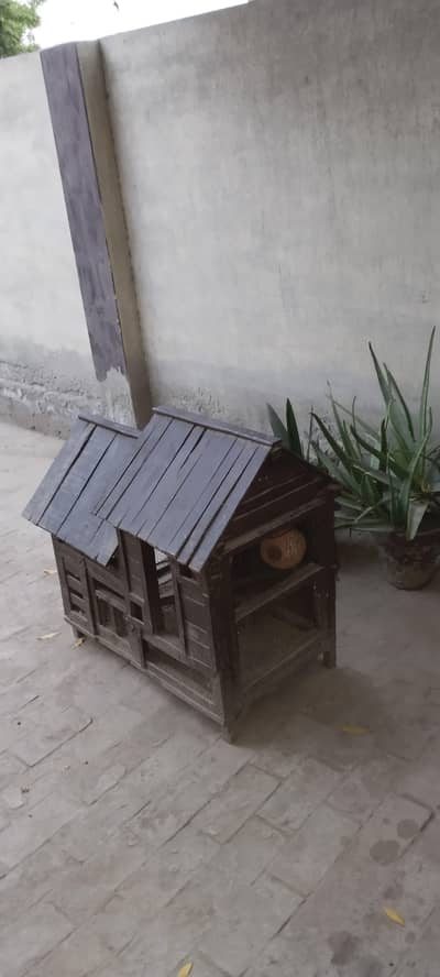 Birds cage