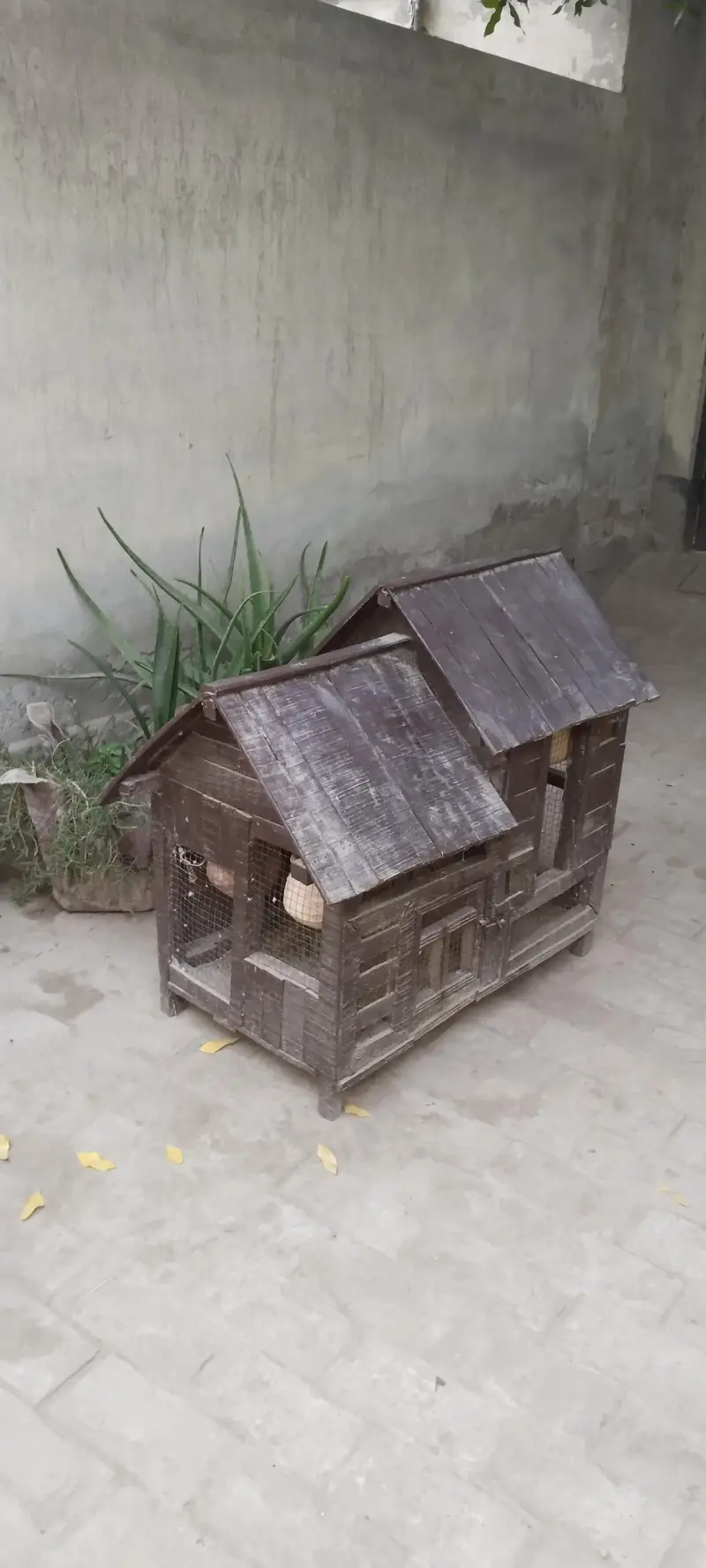 Birds cage — photo 2
