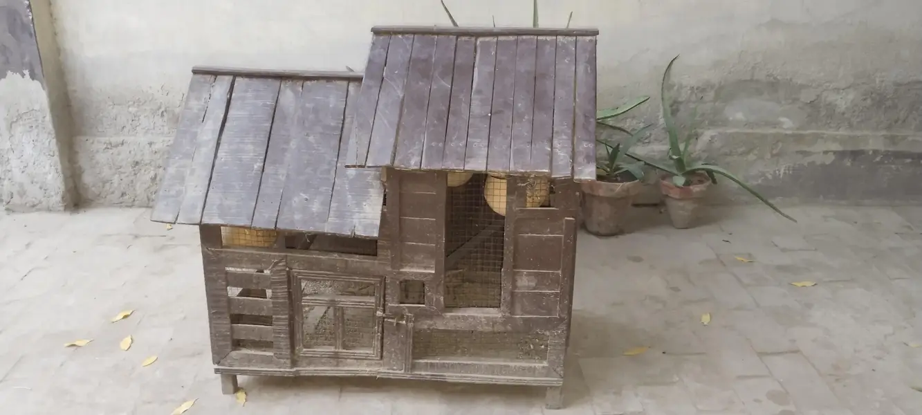 Birds cage — photo 3