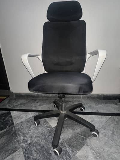 Office chairs for employees