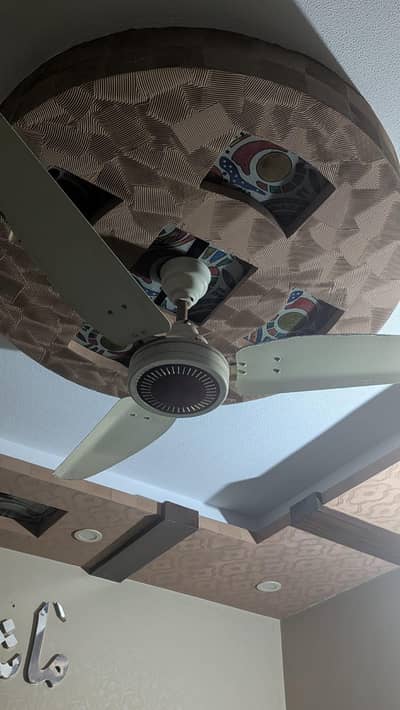 Royal ceiling fans