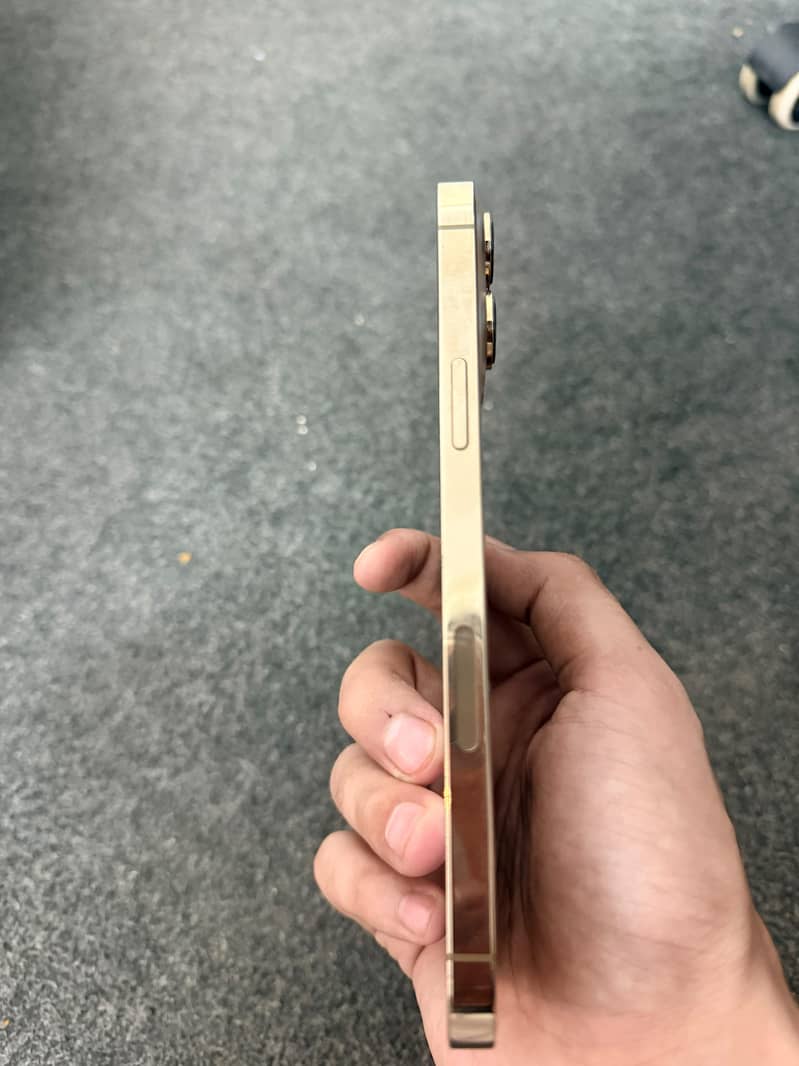 Apple iPhone 13 Pro Max 6