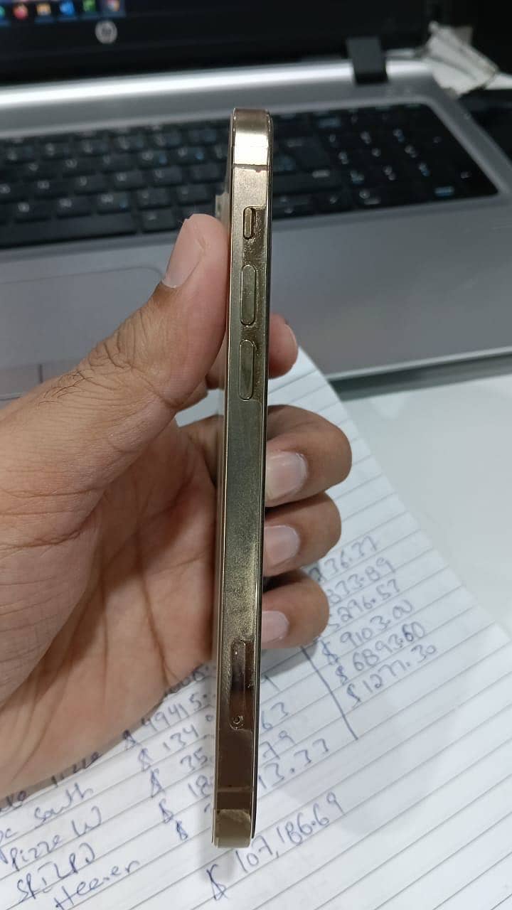Apple iPhone 12 Pro 1