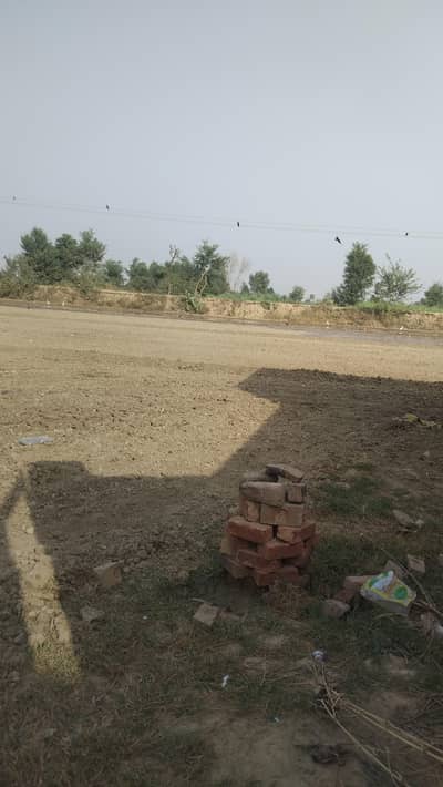dairy milk farm