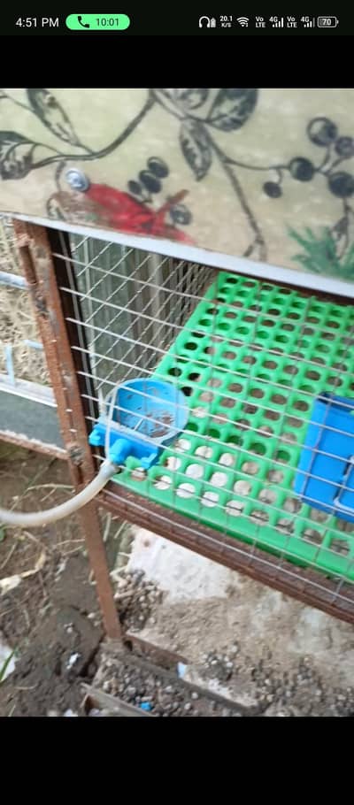 Rabbit iron cage 24 khany, pinjra