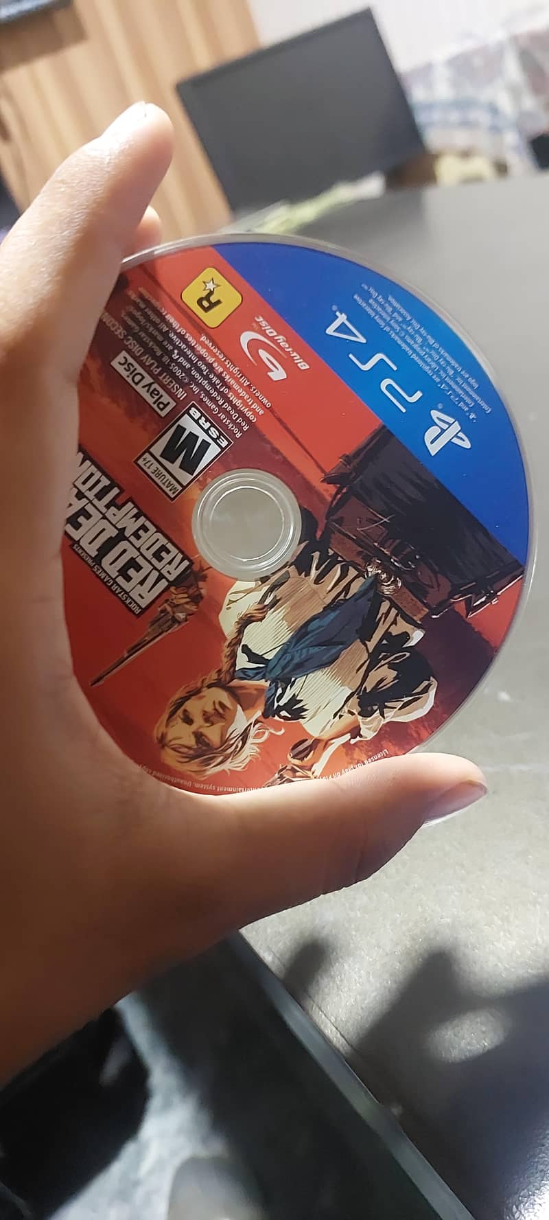 RDr2 ps4 3