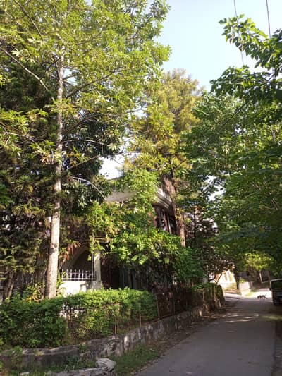 8 marla corner house for rent in shahzad town