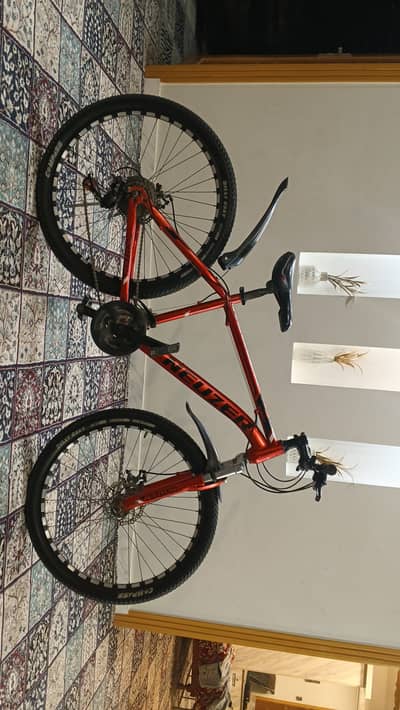 BICYCLE 11 gears Disc Brakes