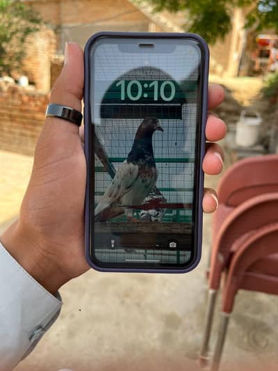 Apple iPhone XR