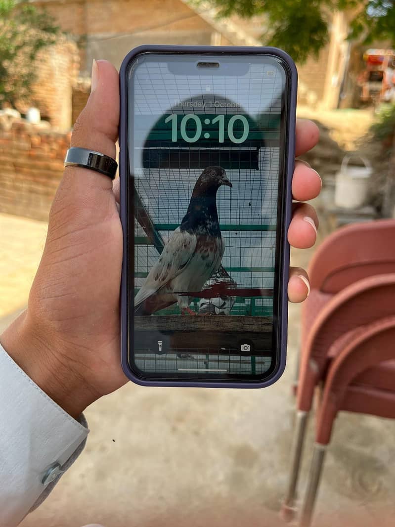 Apple iPhone XR 0
