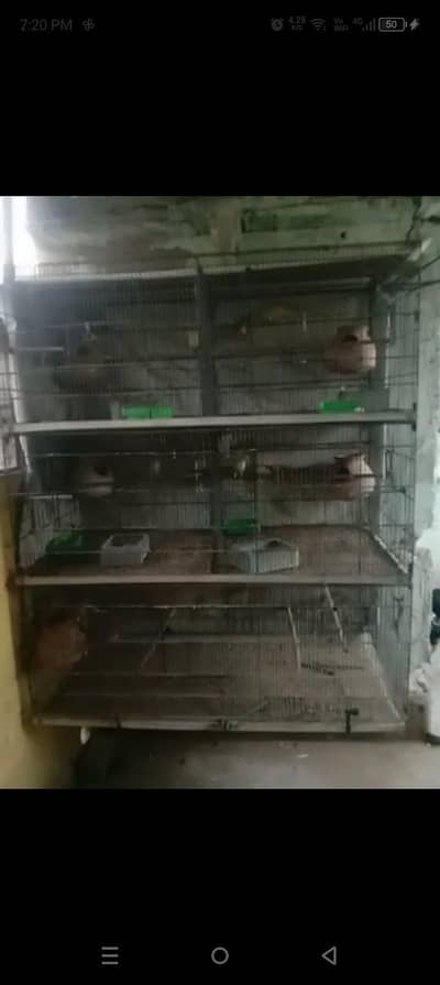 Folding Cage for sale