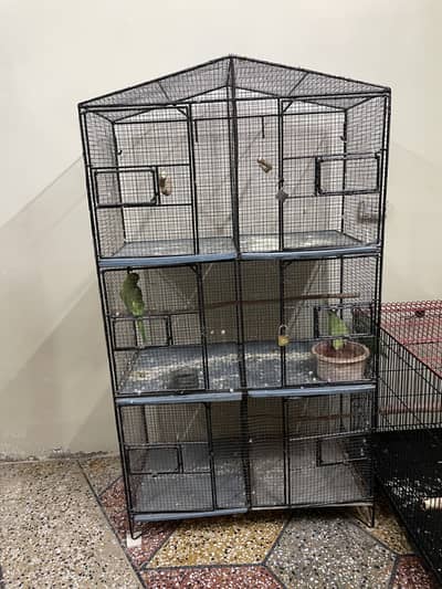 6 portion cage