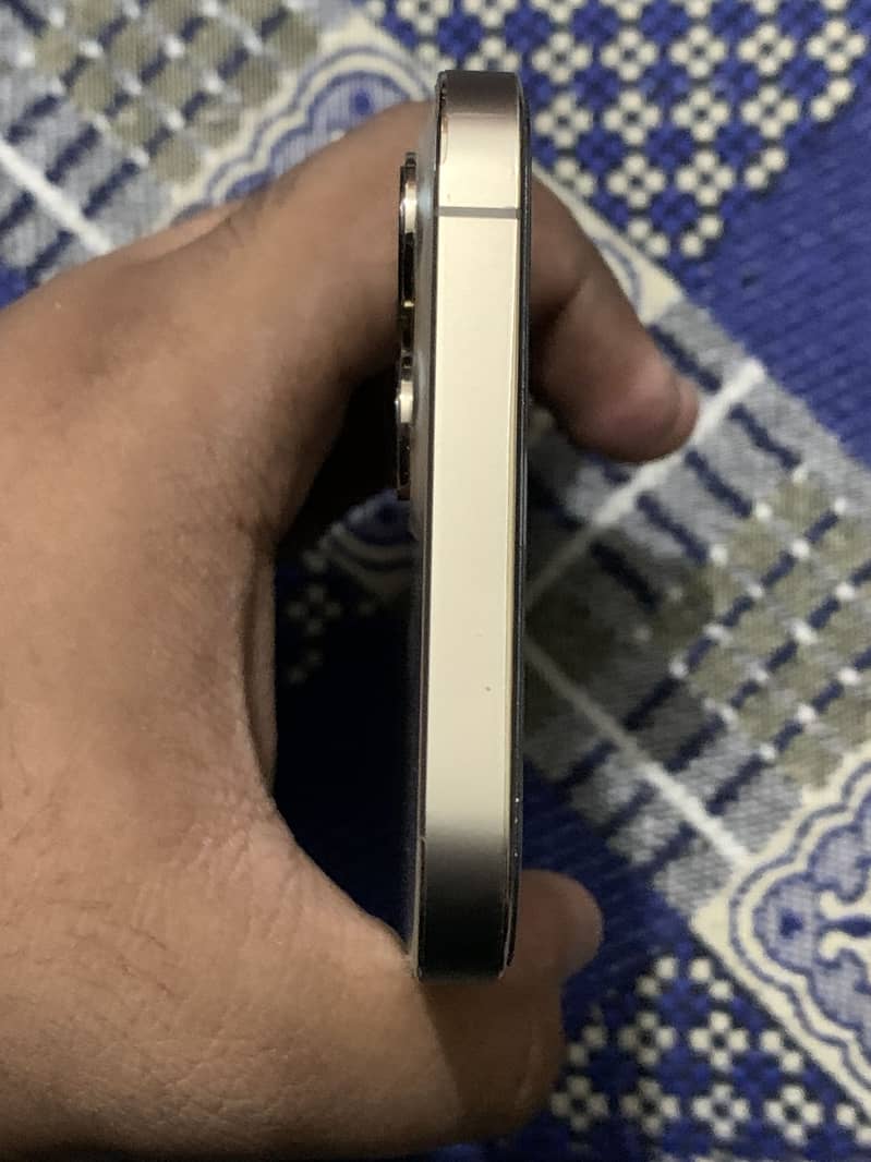 Apple iPhone 12 Pro Max 1