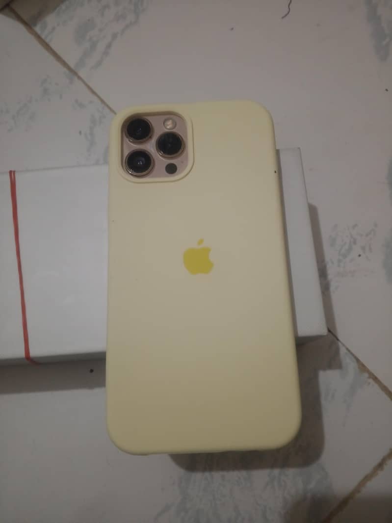Apple iPhone 12 Pro Max 1