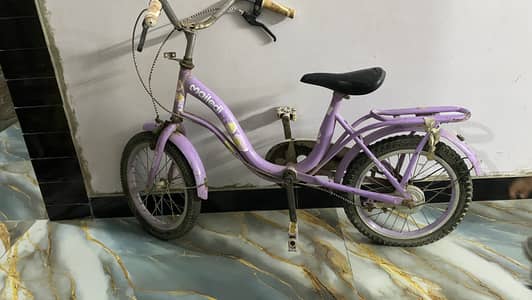 Girls Cycle 20 Inch | Pink/Purple | Good Condition