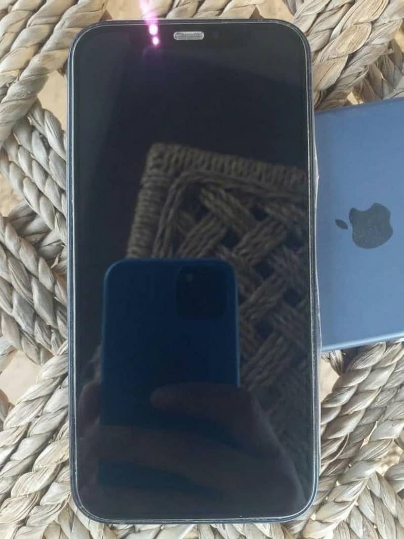 Apple iPhone 12 2