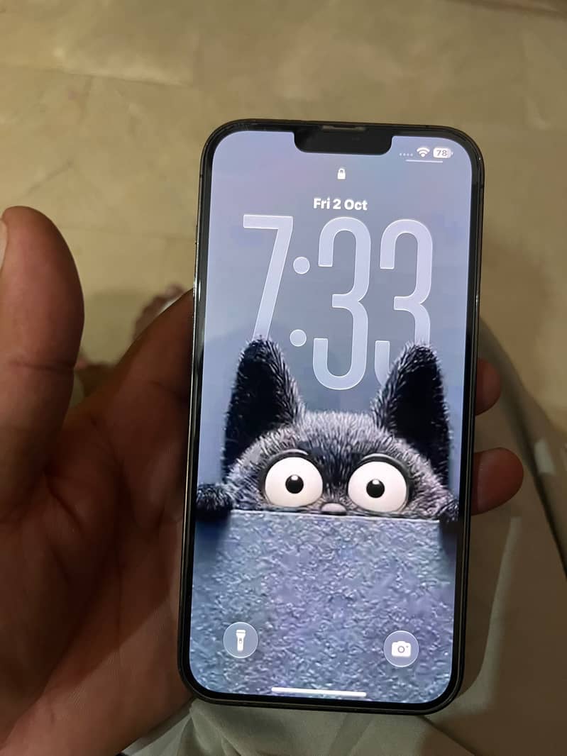 Apple iPhone 13 Pro Max 1