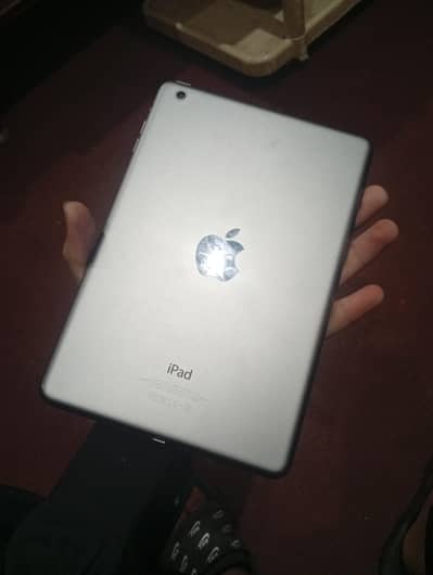 iPad mini 2