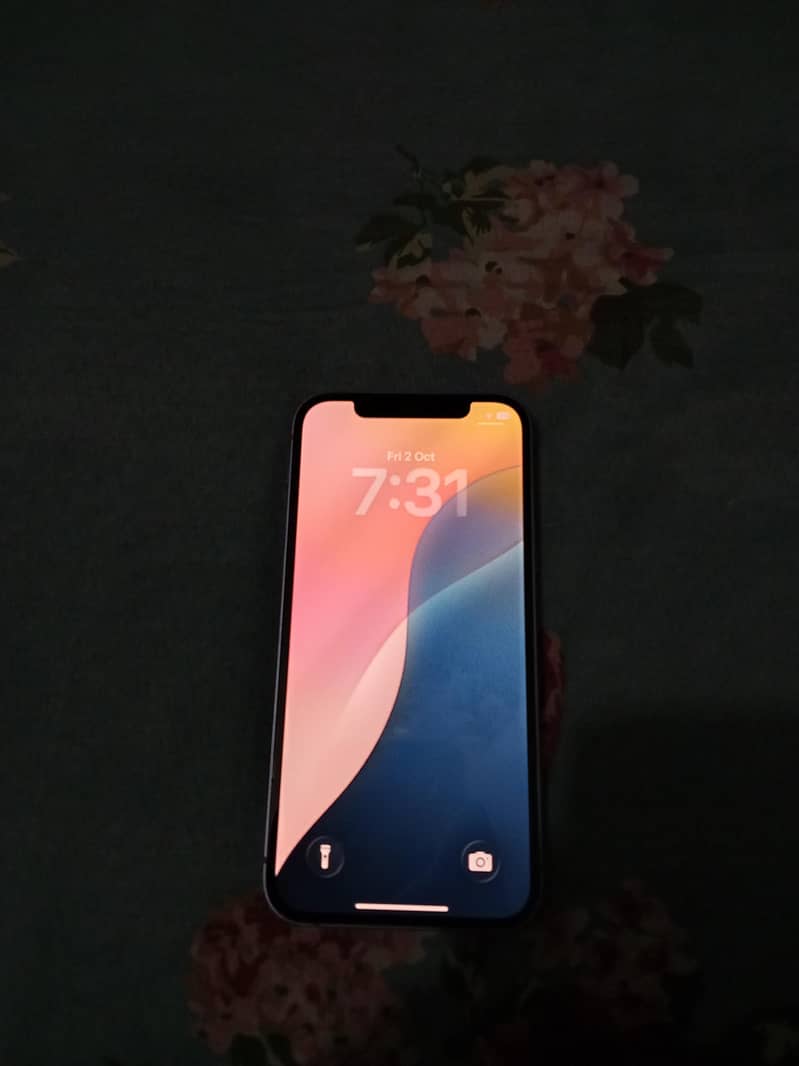Apple iPhone 12 1