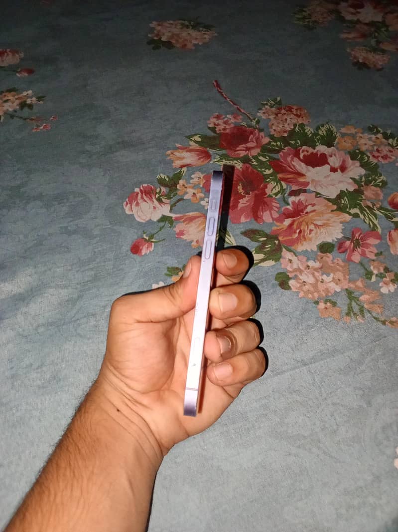 Apple iPhone 12 2