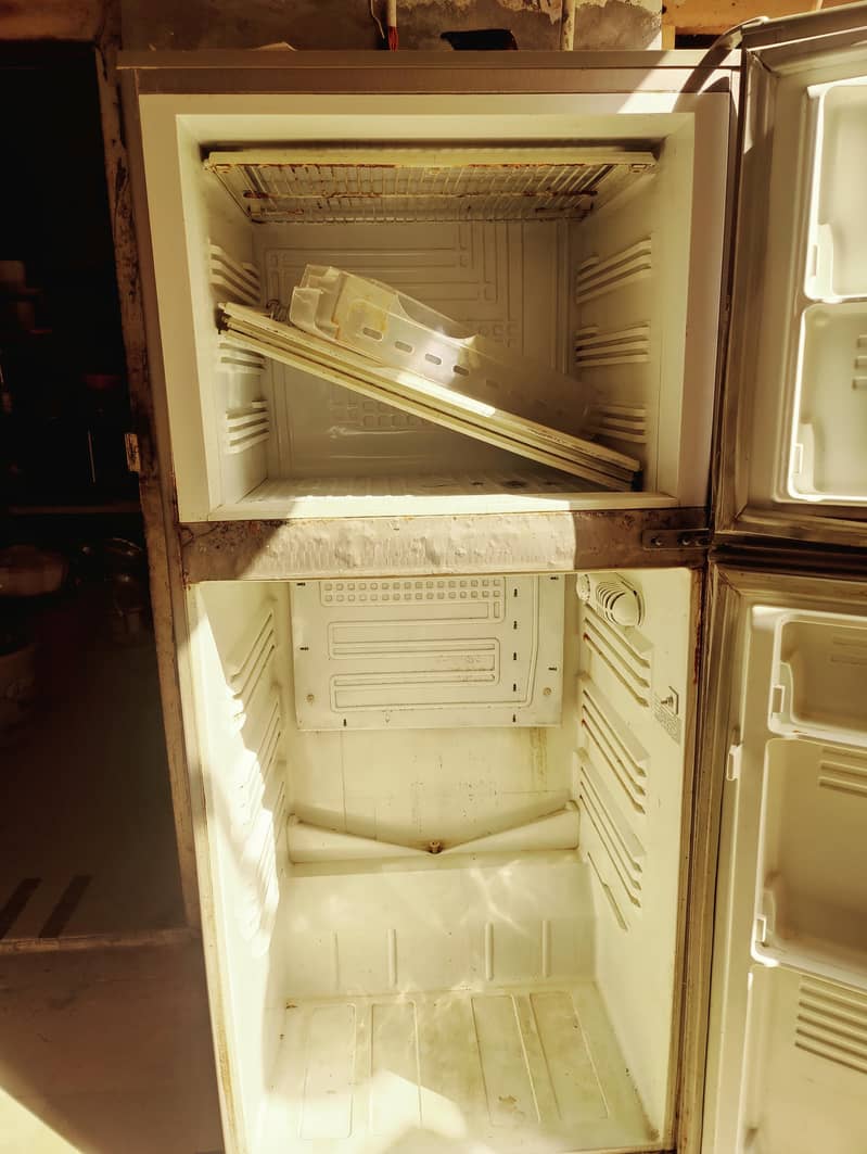 PEL REFRIGRETOR 6
