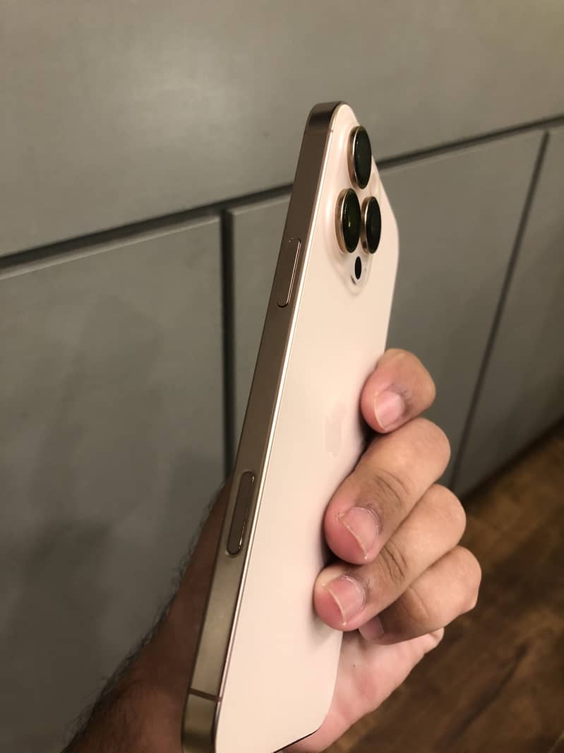 Apple iPhone 16 Pro Max 4