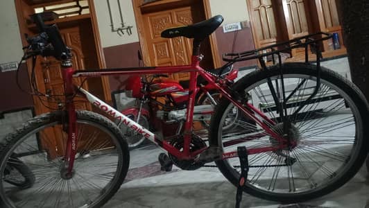 roman cycle