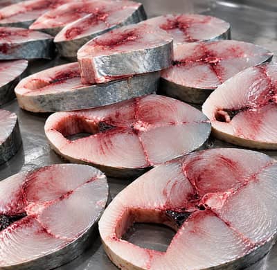Fresh Surmai Fish  - Prime Quality