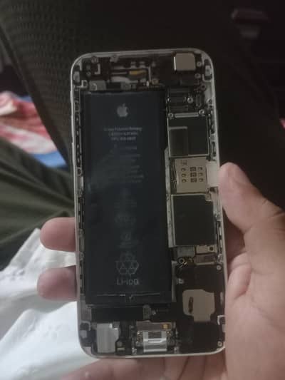 Apple iPhone 6