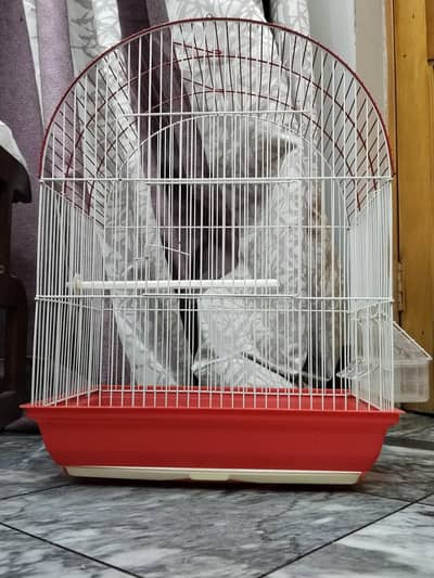 Canary big size cage