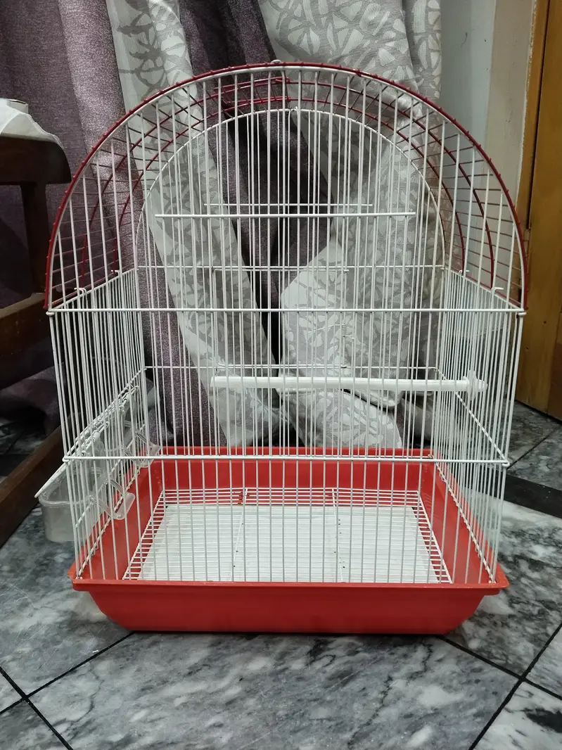 Canary big size cage — photo 3