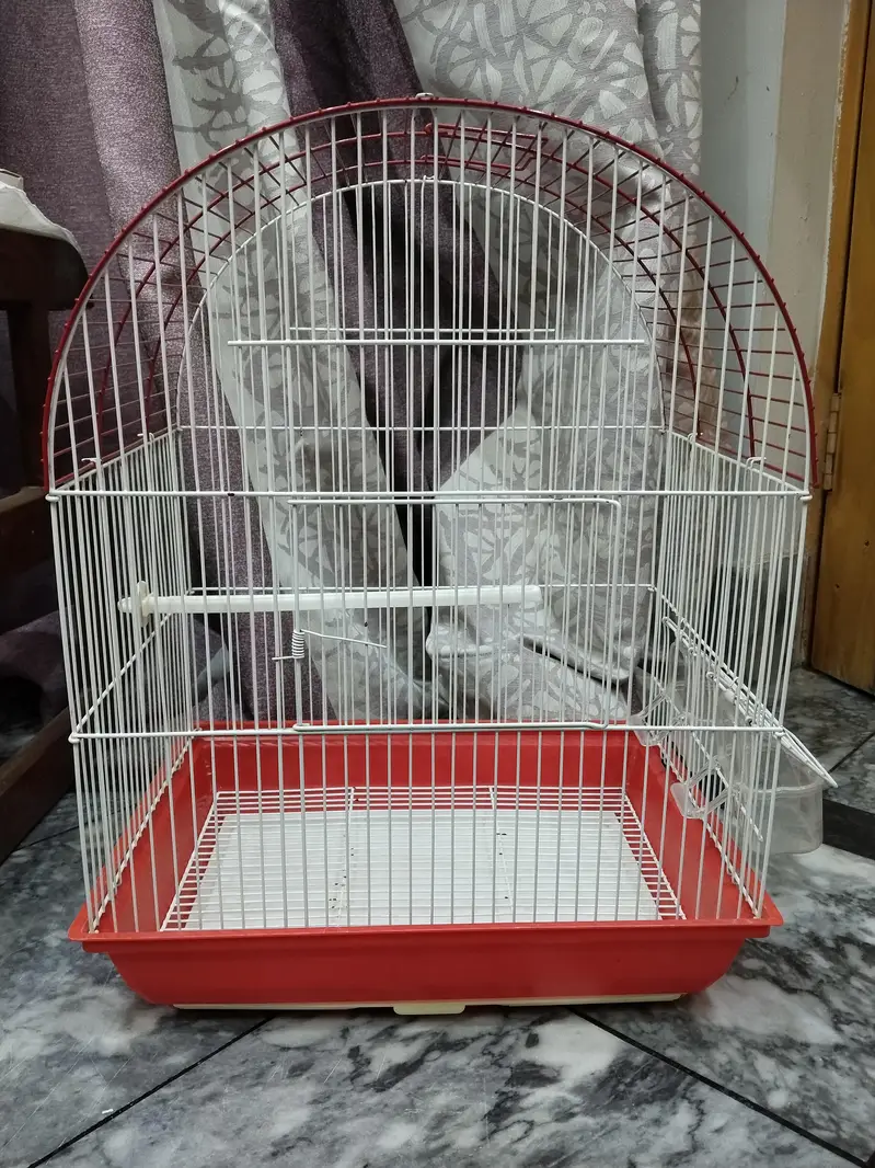 Canary big size cage — photo 4