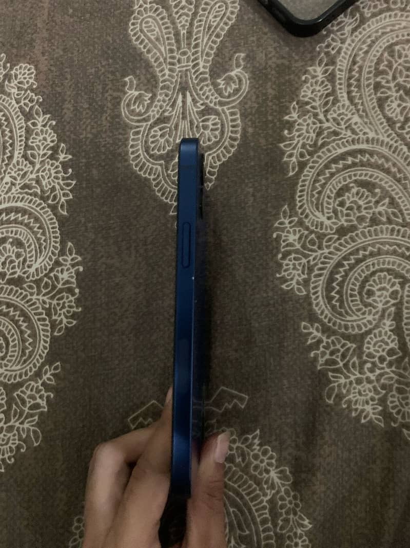 Apple iPhone 12 1
