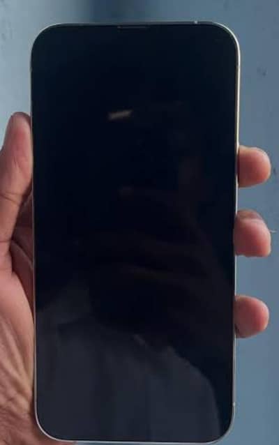 Apple iPhone 13 Pro Max 0303 9030847