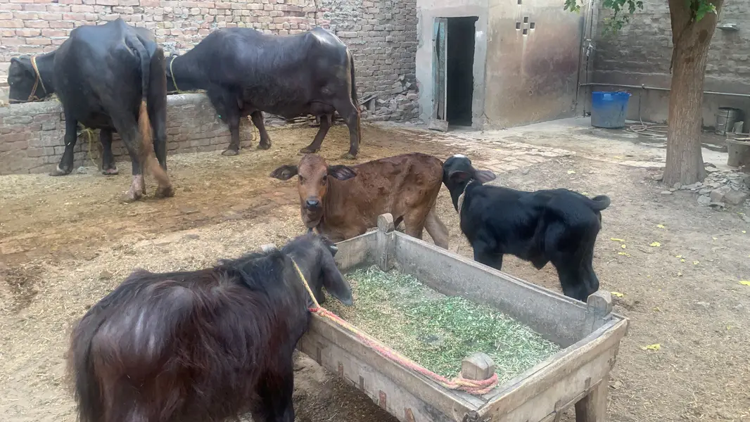 Chalta hua bhana For sale ha - running business Fot sale — photo 2