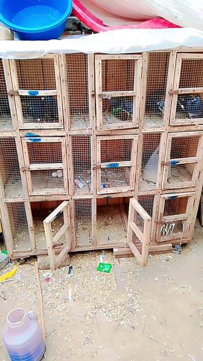 breeding cage