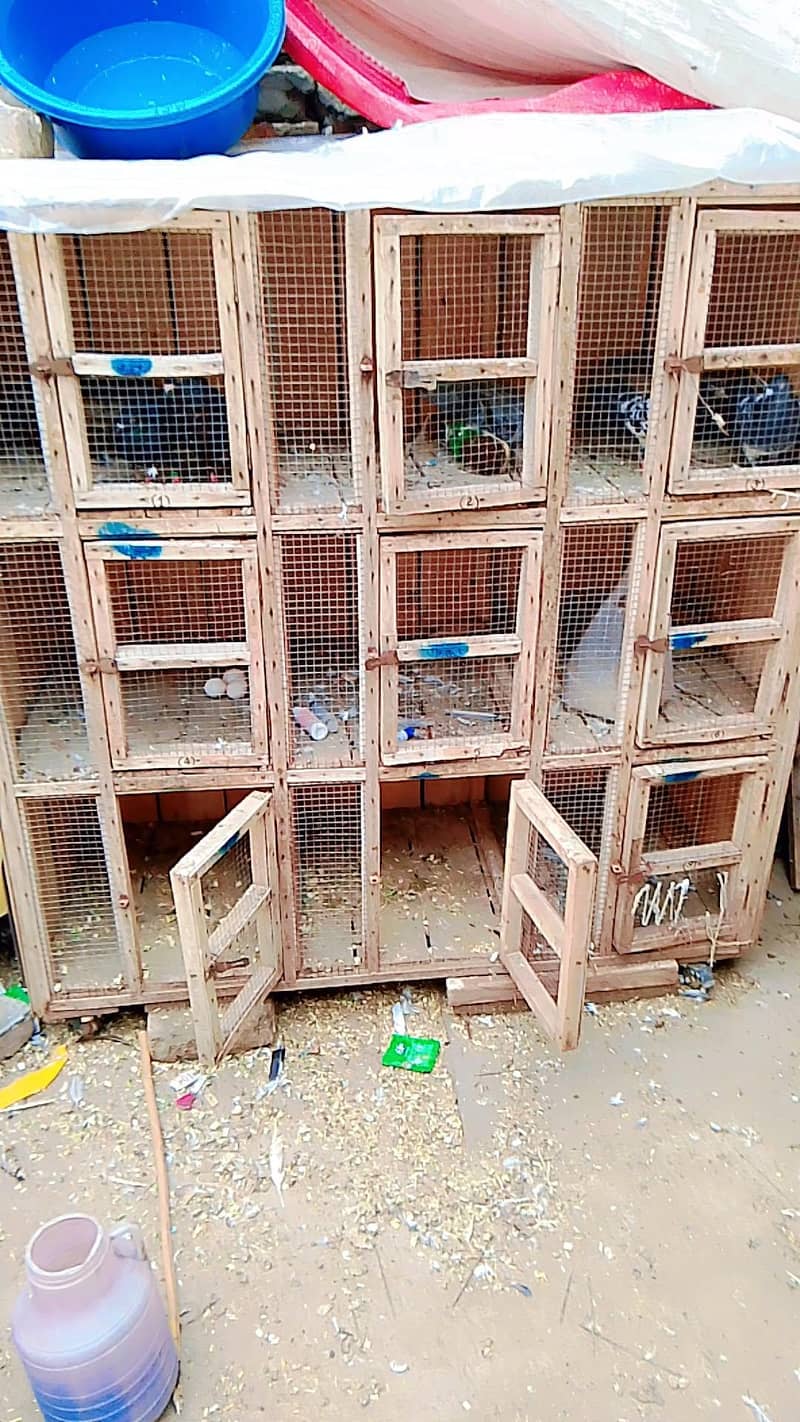 breeding cage 0