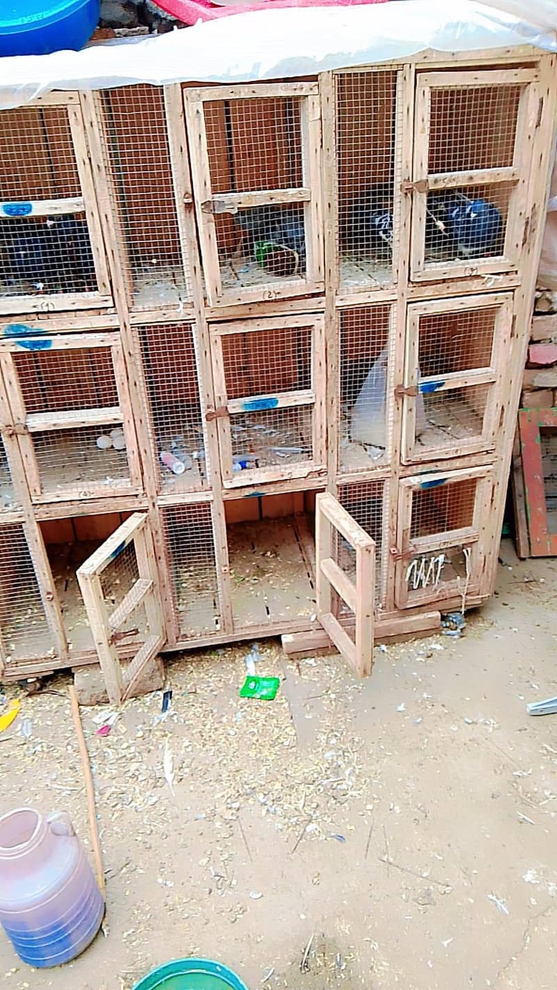 breeding cage 1