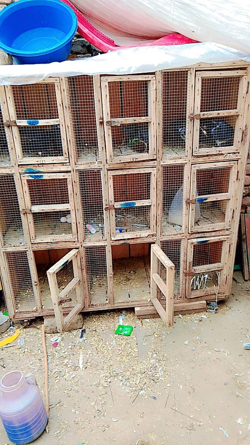 breeding cage 2