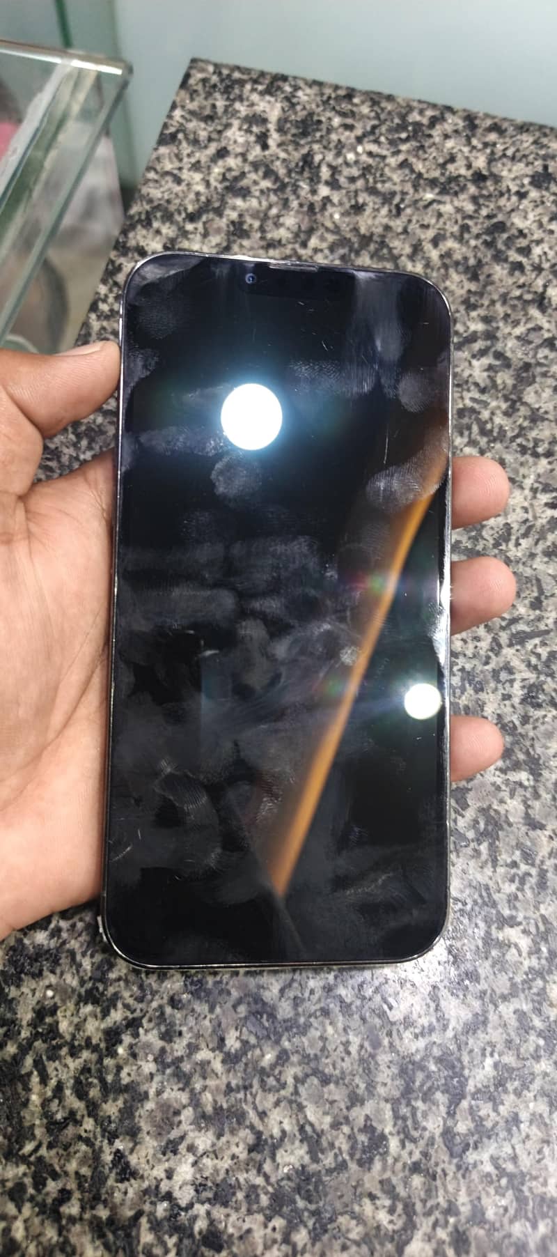 Apple iPhone 13 Pro Max 2