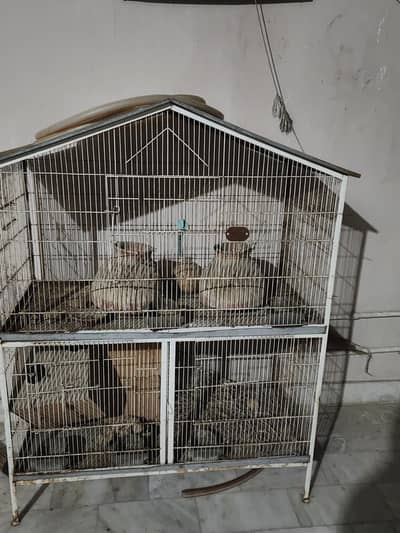 3 portion cage